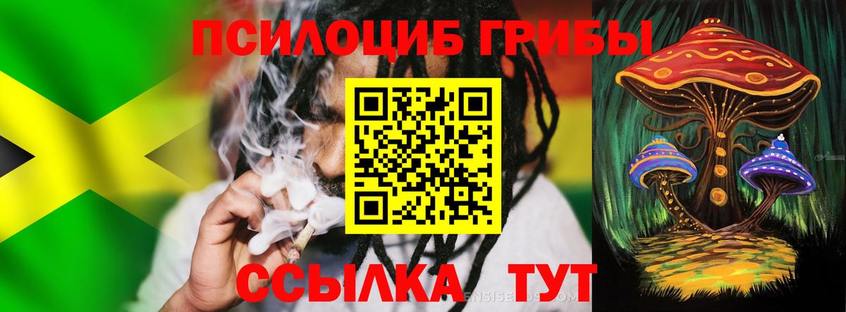 Галлюциногенные грибы мицелий  продажа наркотиков  Зима  Вход с VPN 